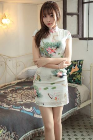 与君歌电视剧免费观看