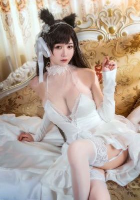 度华年电视剧免费观看